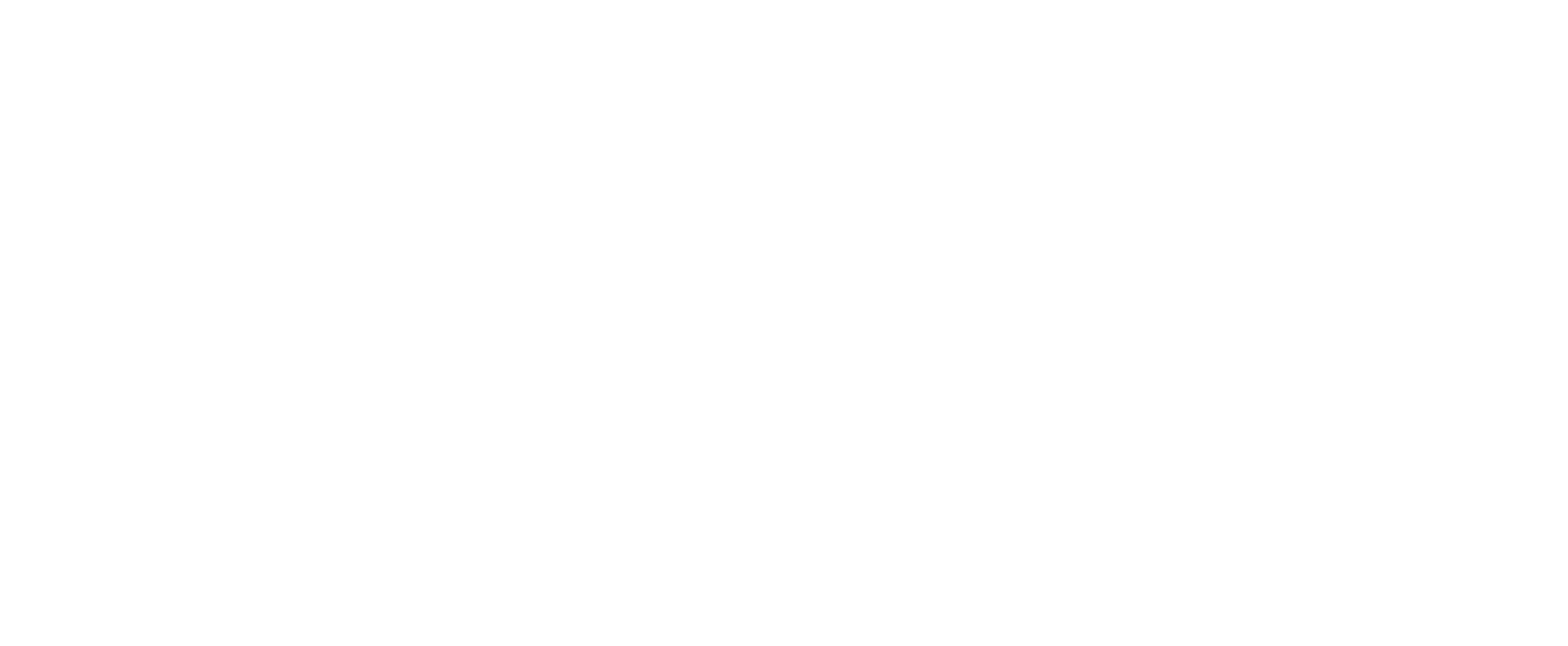 Thibault Martins